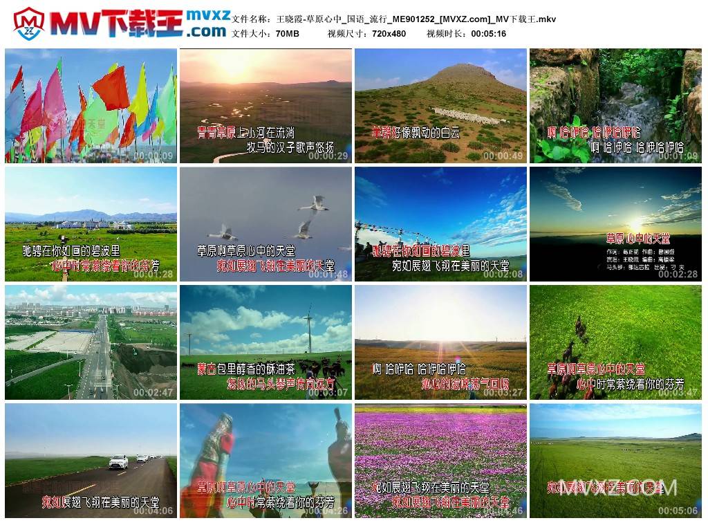 王晓霞-草原心中_国语_流行_ME901252